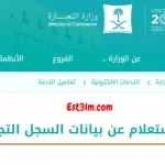 الاستعلام عن بيانات السجل التجاري في المملكة العربية السعودية