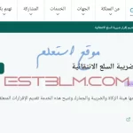 خطوات تقديم إقرار ضريبة السلع الانتقائية داخل المملكة