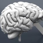 نصائح لتقوية الذاكرة