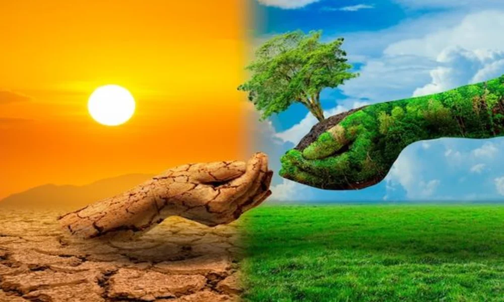أهمية النباتات في توازن النظام البيئي: سر الحياة على كوكب الأرض 2 أهمية النباتات