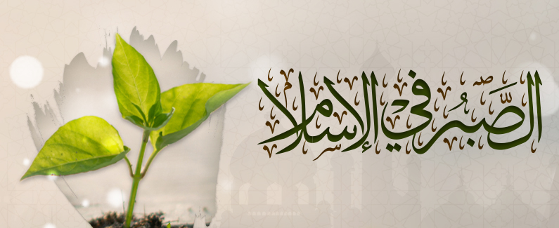 الصبر في الإسلام: طريق النجاة من الابتلاءات وكنز المؤمن في مواجهة الشدائد 2 الصبر في الإسلام