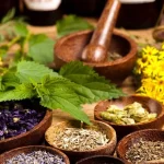 النباتات الطبية 1