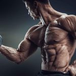 بناء العضلات للمبتدئين
