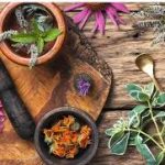 أعشاب طبيعية لعلاج القلق
