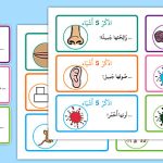 AR A 40 Name 5 Things Challenge Cards Arabic ver 2