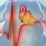 obesity and chronic diseases 1