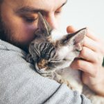 cats4