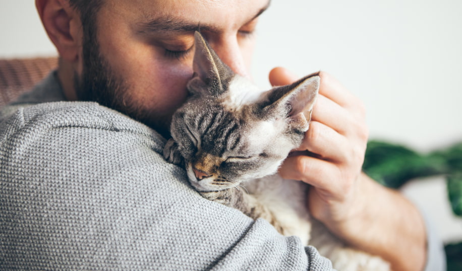 رؤية القطة في المنام: غدر قريب أم حظ جيد ينتظرك؟ 2 cats4