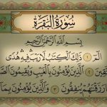 images 6 5