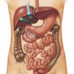 images 32
