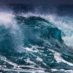 images 6 1